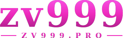 zv999 logo